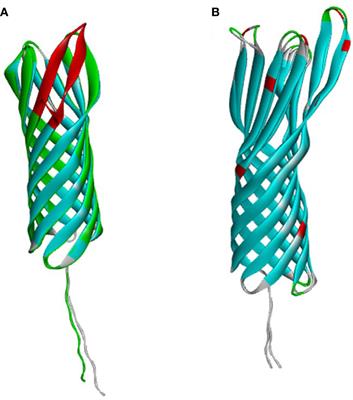 Frontiers The Outer Membrane Proteins Based Seroprevalence Strategy